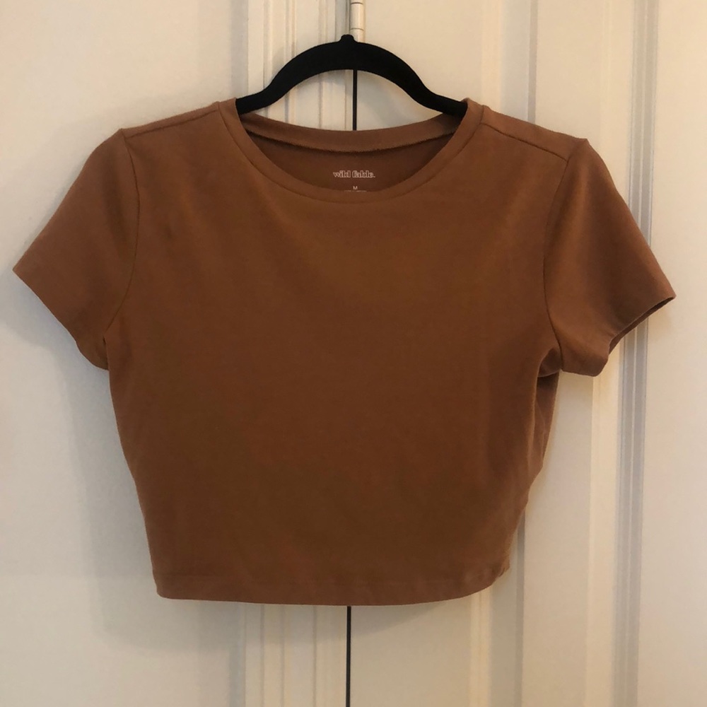 Wild Fable Brown Cropped Tee FREE ADD-ON